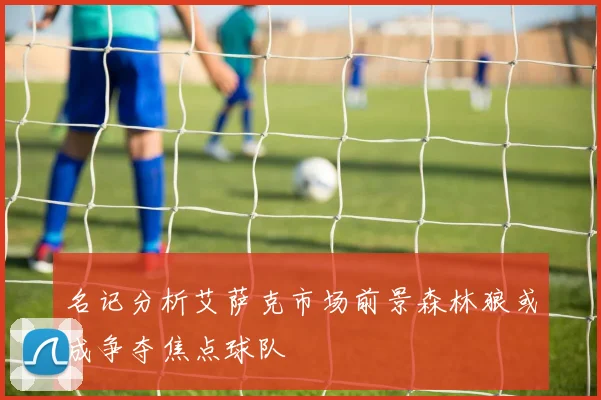 名记分析艾萨克市场前景森林狼或成争夺焦点球队